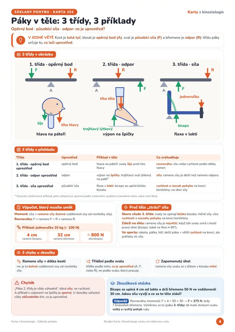 Karta „Páky v těle: 3 třídy, 3 příklady“ z Karet z kineziologie