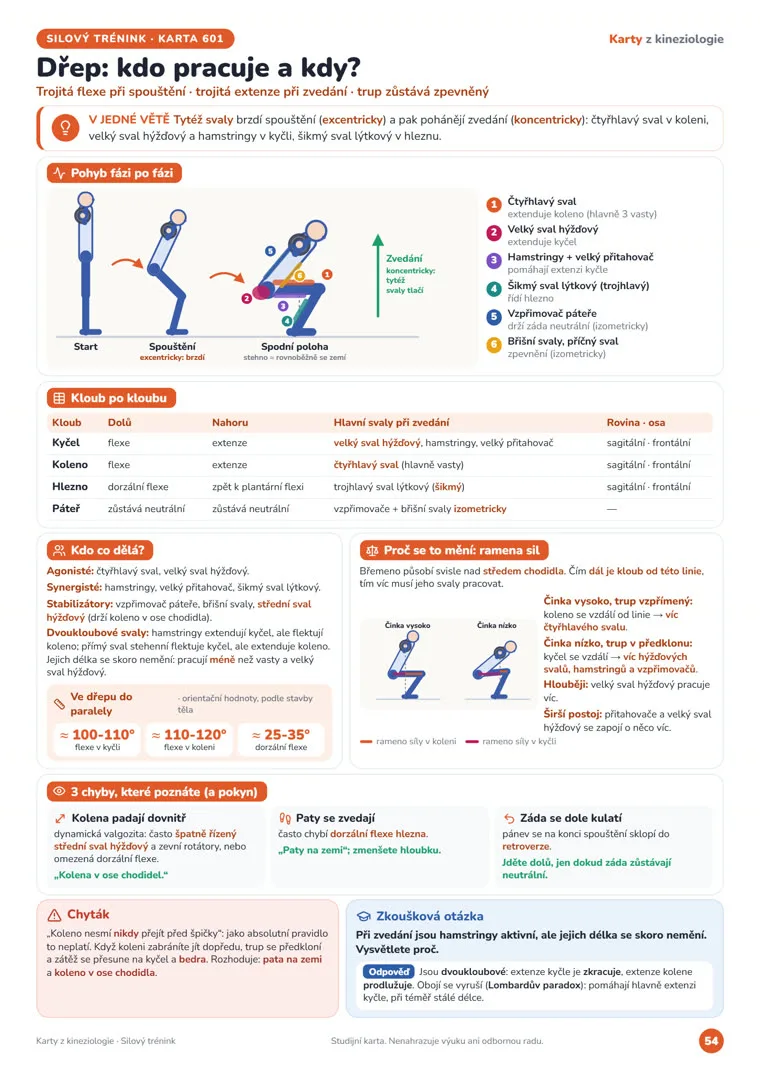 Karta „Dřep: kdo pracuje a kdy?“ z Karet z kineziologie