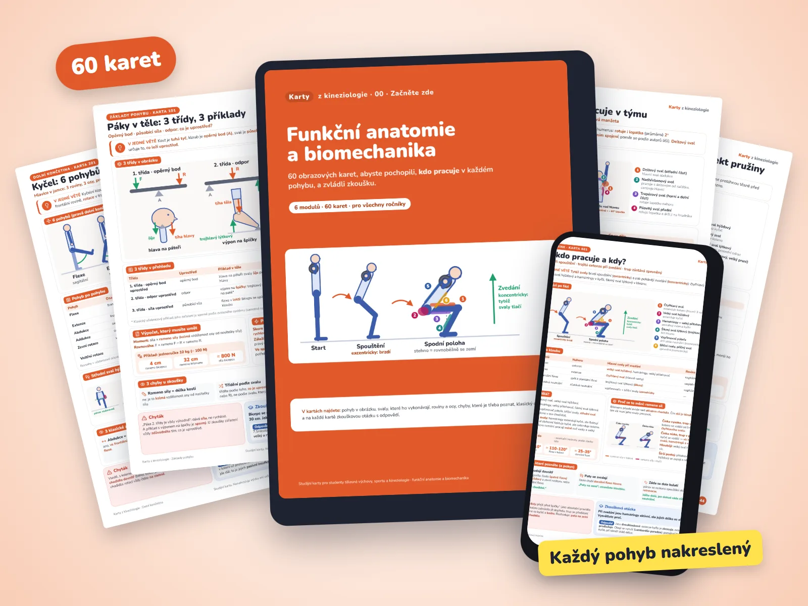 Karty z kineziologie: obálka na tabletu, karta na telefonu a další karty kolem